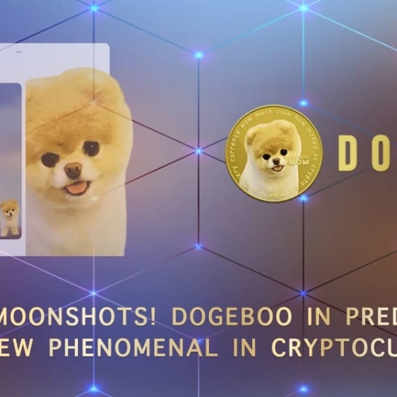 Potential Moonshots! Dogeboo in Prediction will be a New Phenomenal  in Cryptocurrency