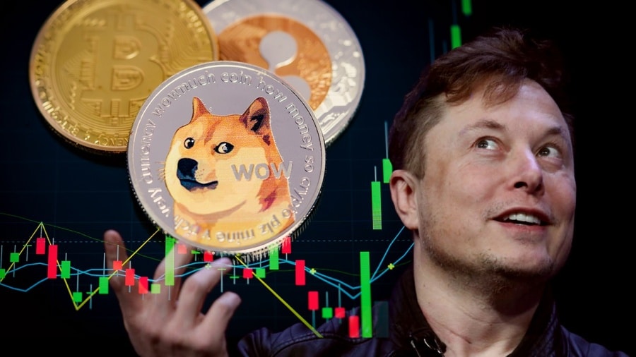 Elon Musk's visit to Twitter HQ Boosts Dogecoin Prices by 21% in One Day