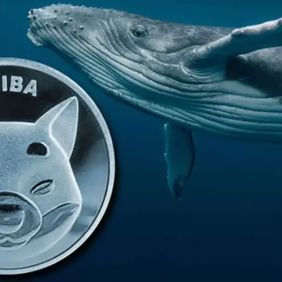 25 Trillion SHIB Securely Moved to Cold Storage: Shiba Inu Whale Makes a Move