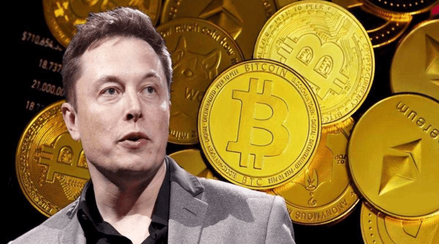 Elon Reveals US Government Can Access Twitter DMs Sparks Cryptocurrency Market Turmoil