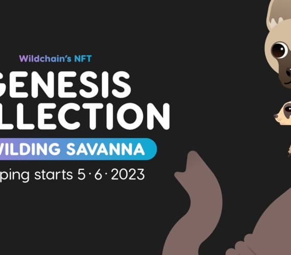 Wildchain Reveals the Savanna’s Wildlife-Conservation Genesis NFT Collection Auction