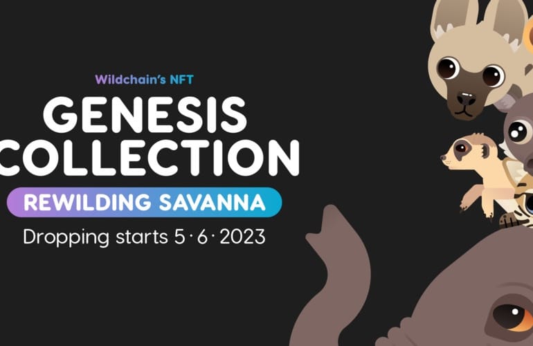 Wildchain Reveals the Savanna's Wildlife-Conservation Genesis NFT Collection Auction 