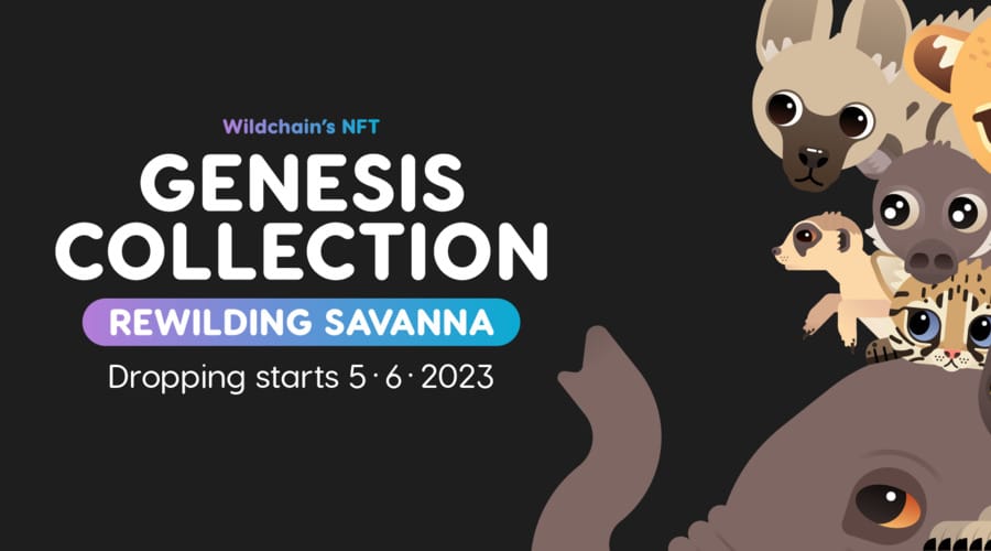 Wildchain Reveals the Savanna's Wildlife-Conservation Genesis NFT Collection Auction 