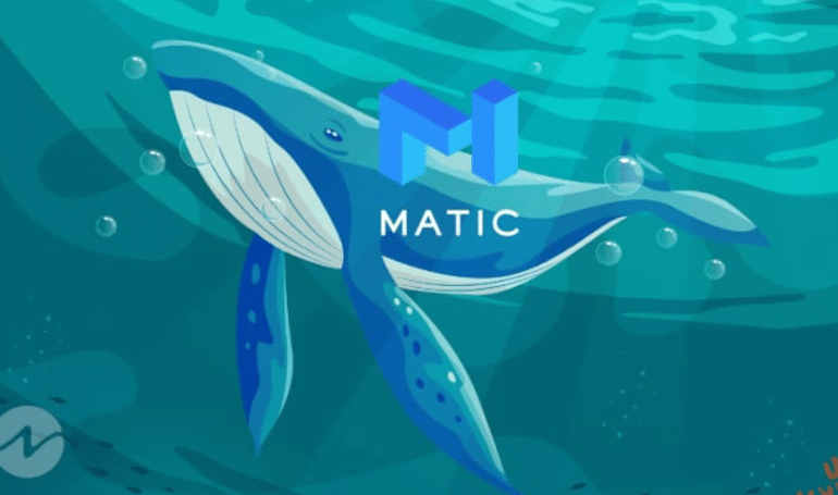 Polygon (MATIC) Whale Transactions Surge 49%