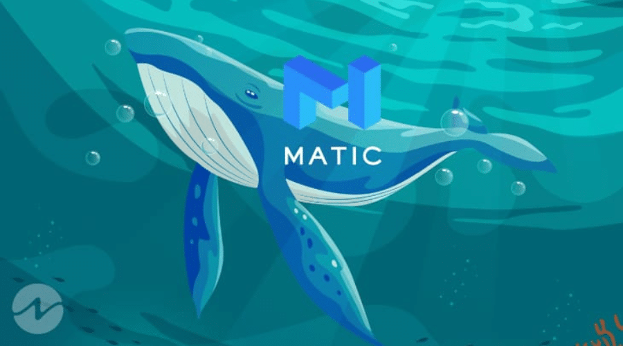 Polygon (MATIC) Whale Transactions Surge 49%