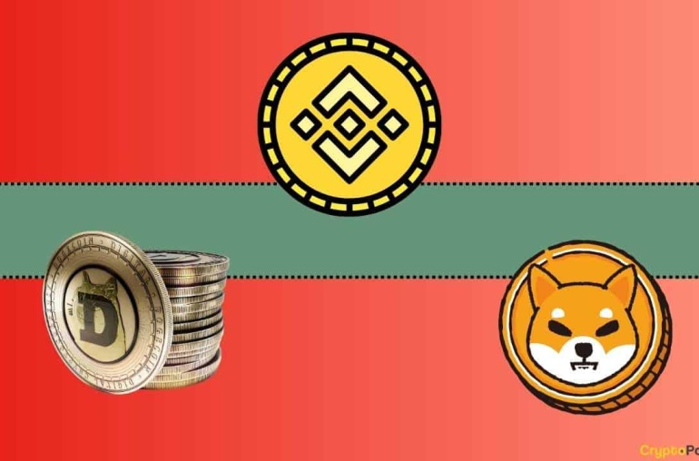 Binance Delisting 17 Tokens from Liquidity Pools, Including Shiba Inu
