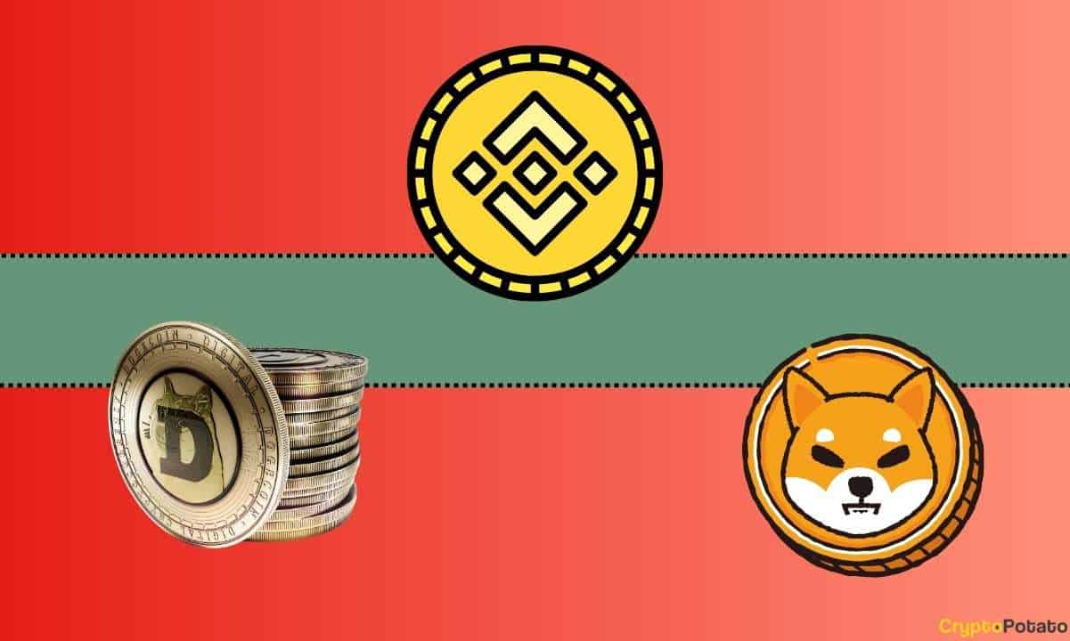 Binance Delisting 17 Tokens from Liquidity Pools, Including Shiba Inu