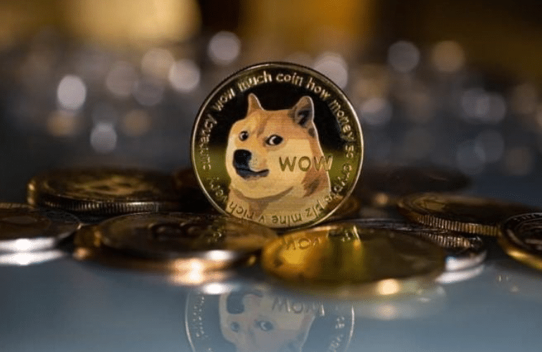 Emergence of 100 New DOGE Millionaire Wallets Signals Significant Interest from Investors