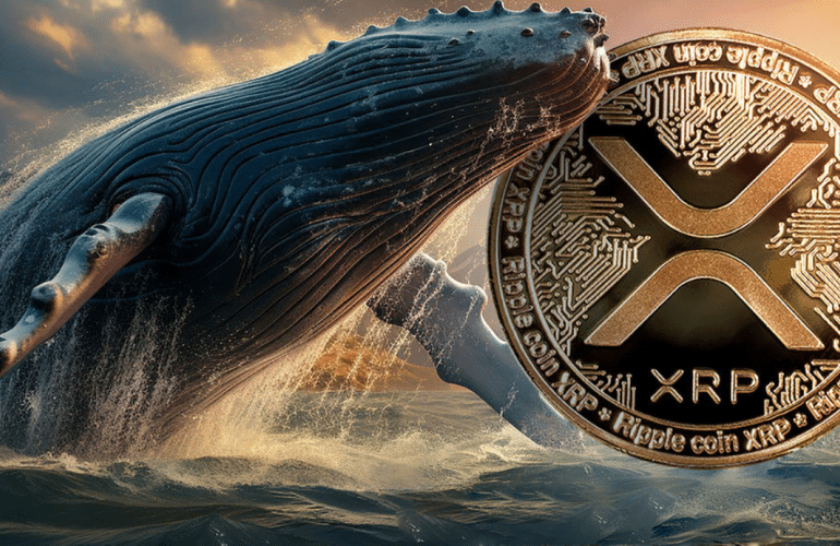 XRP Whale Sell 46 Million Coins, Will Price Crash to $0.55?