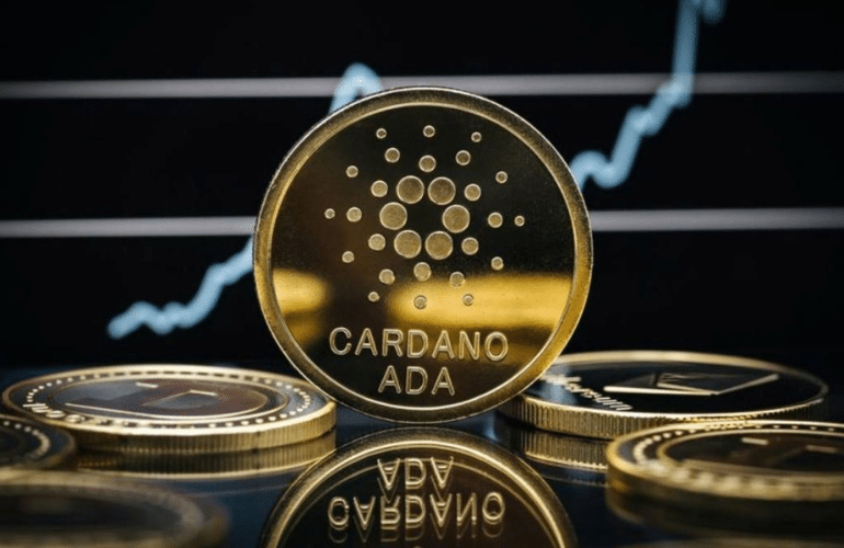 Big Cardano Investors Swap $13B Daily, But Prices Stay Below 60!
